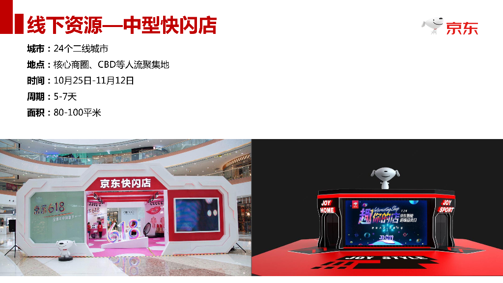 京东：消费品事业部双十一区域、校园招商方案_第10页