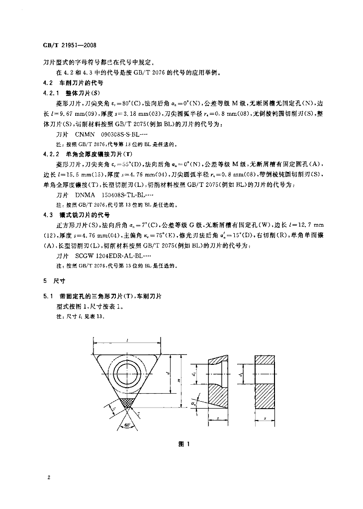 GB/T 21951-2008 标准预览