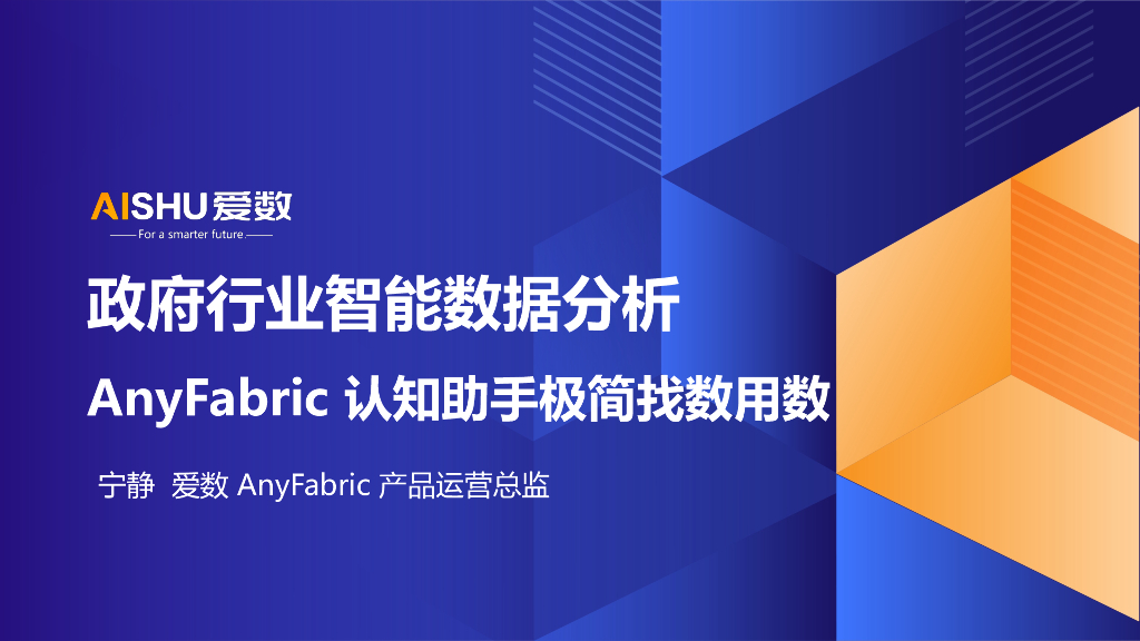爱数：2024年政府行业智能数据分析-AnyFabric认知助手极简找数用数