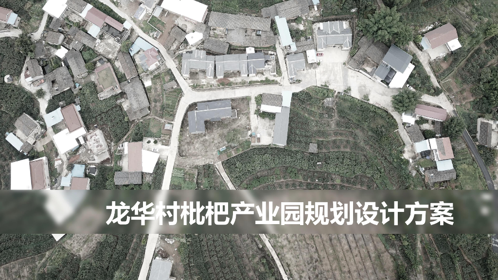 龙华村乡村枇杷产业园规划设计方案