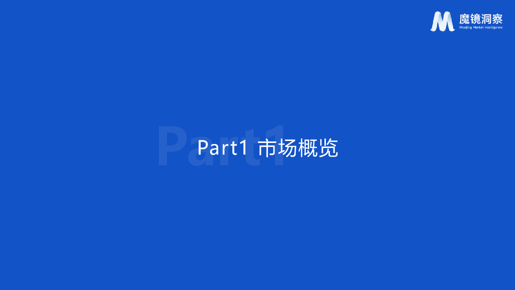 魔镜洞察：2024年儿童照相机市场趋势洞察报告_第6页