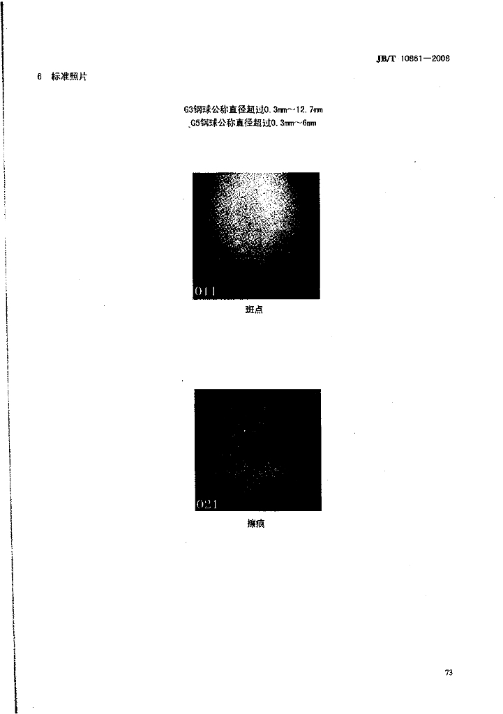 JB/T 10861-2008 标准预览