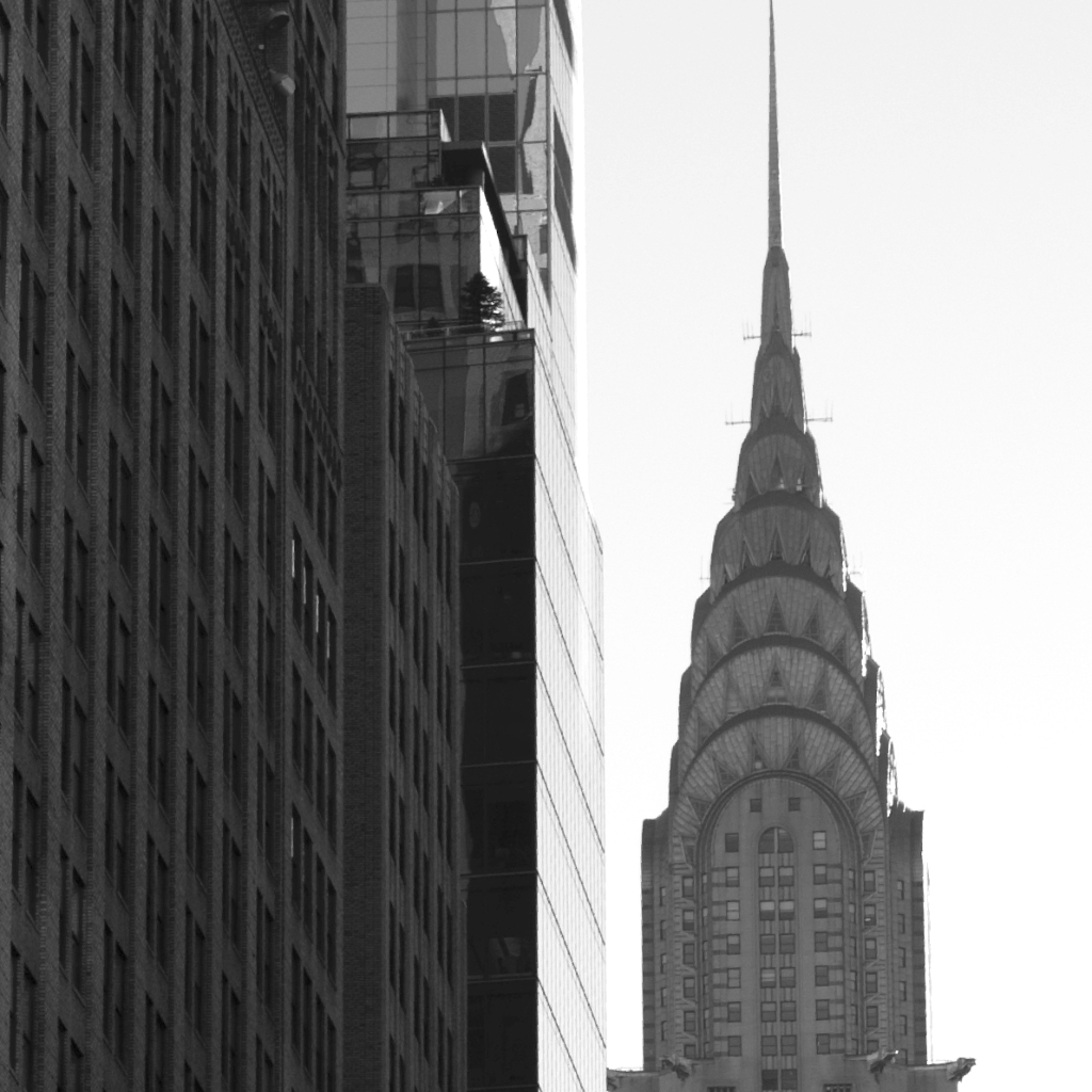 myHRfuture：2024年数字化时代的人力资源：人力资源专业人士行为新特征研究报告（英文版）_第2页