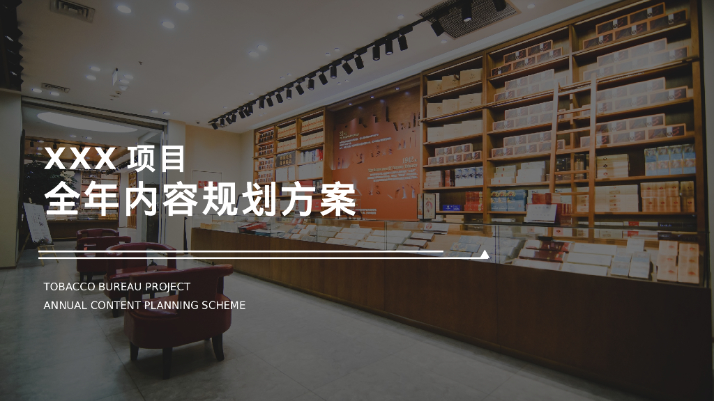 XXX项目全年内容规划方案