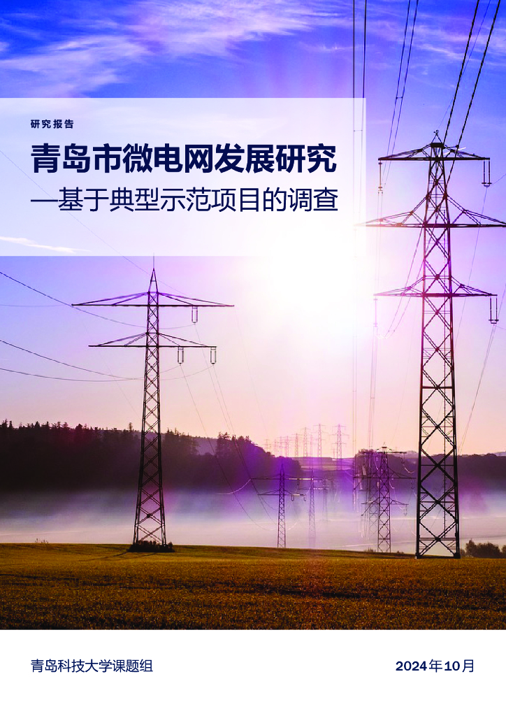 青岛科技大学：2024年青岛市微电网发展研究——基于典型示范项目的调查报告海报