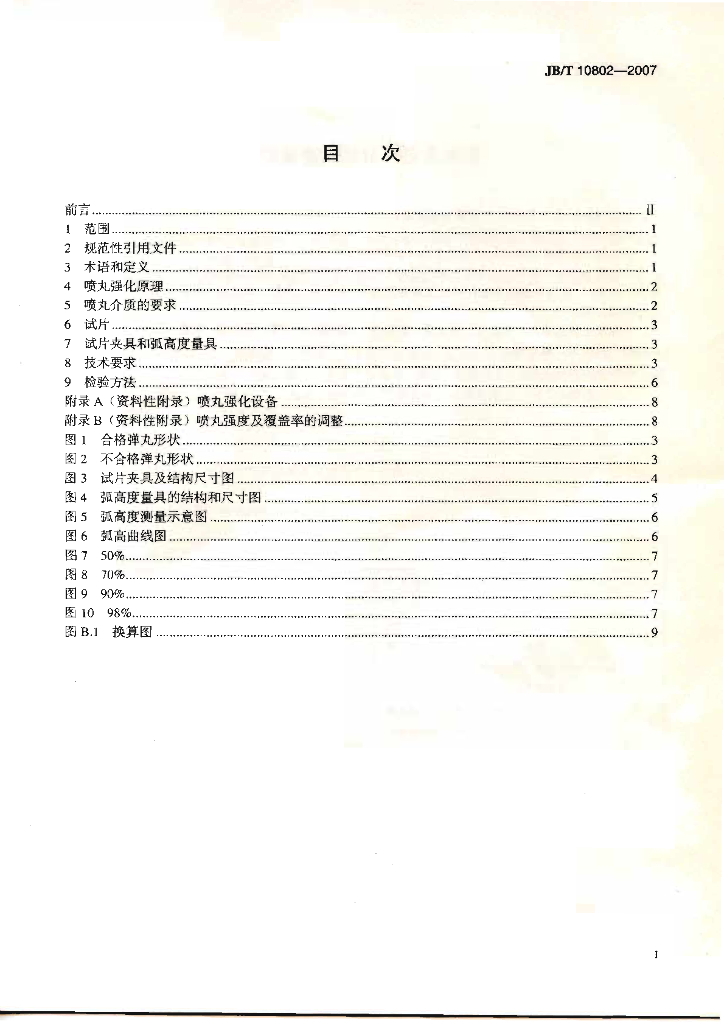 JB/T 10802-2007 标准预览
