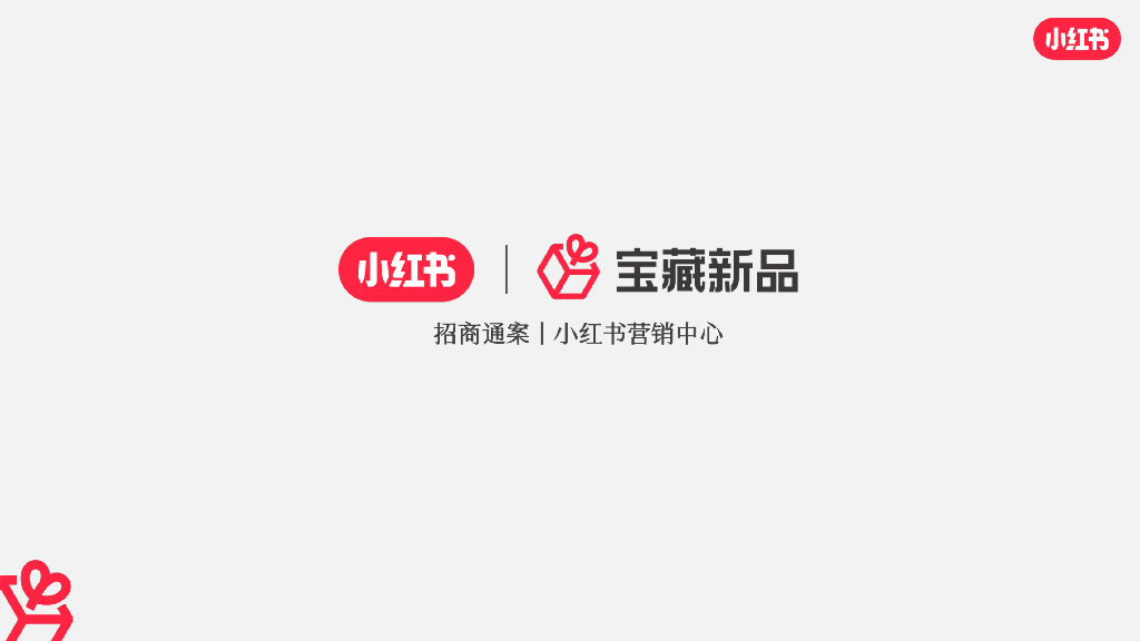 小红书：2024年宝藏新品营销