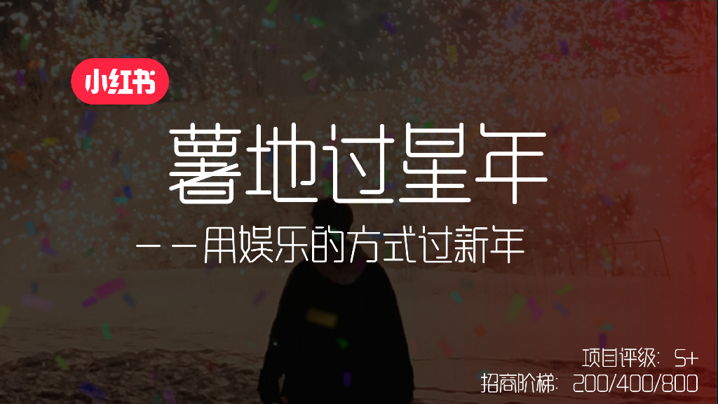 小红书：2025年薯地过星年招商方案