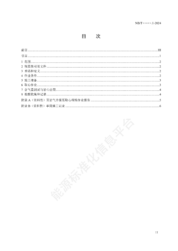 NB/T 11621.1-2024 标准预览