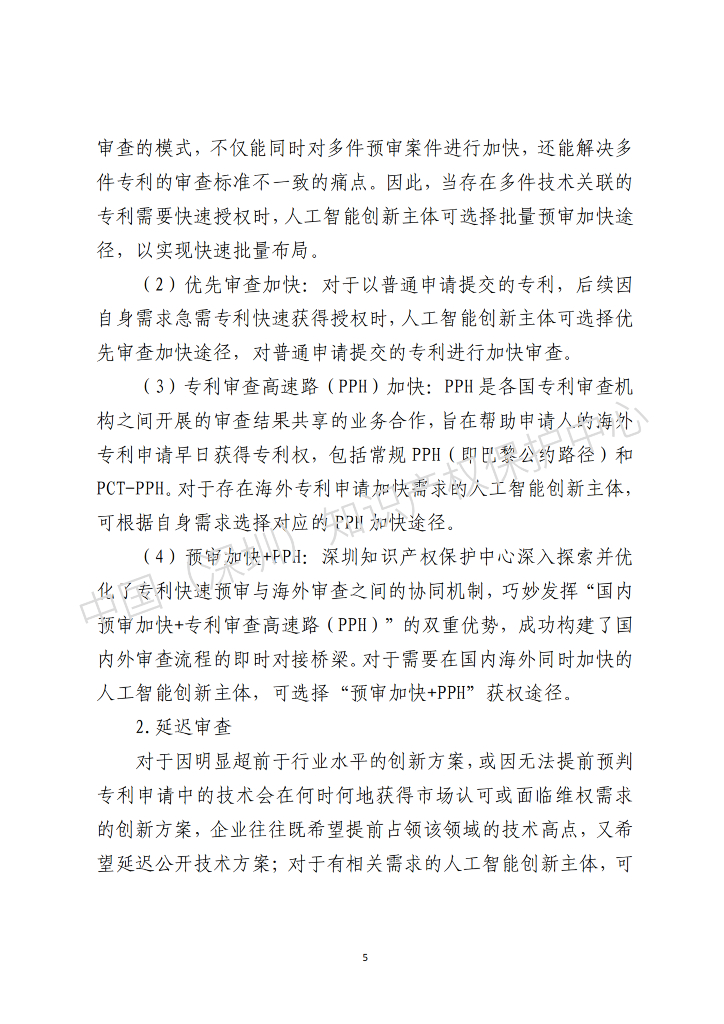 中国（深圳）知识产权保护中心：2025年人工智能（AI）领域专利布局与申请指引报告_第6页