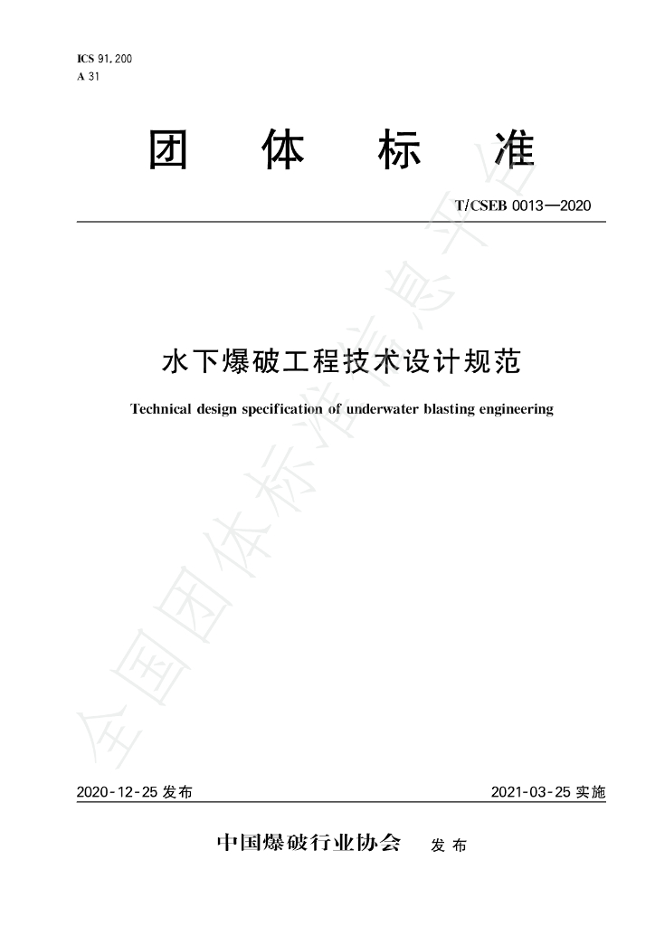 T/CSEB 0013-2020 标准预览