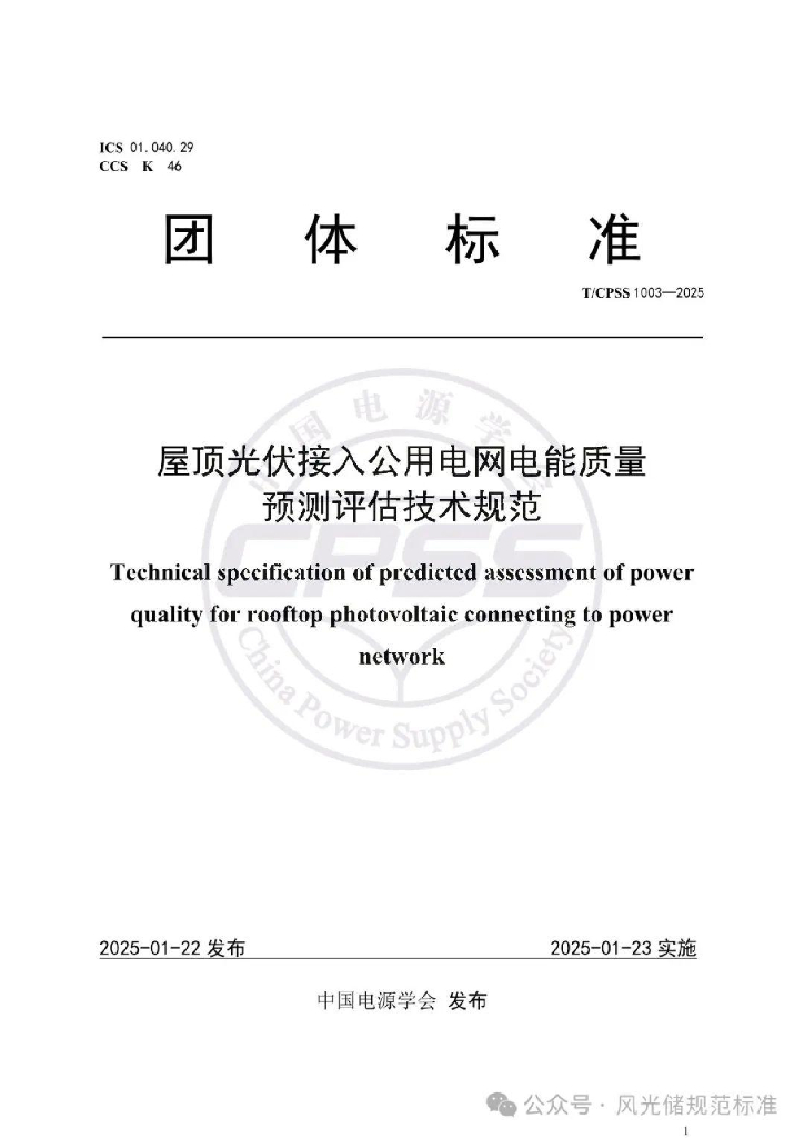 T/CPSS 1003-2025 标准预览