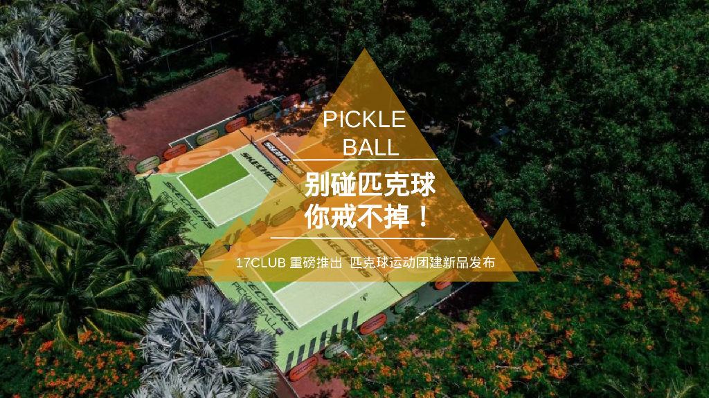 匹克球主题团建活动方案