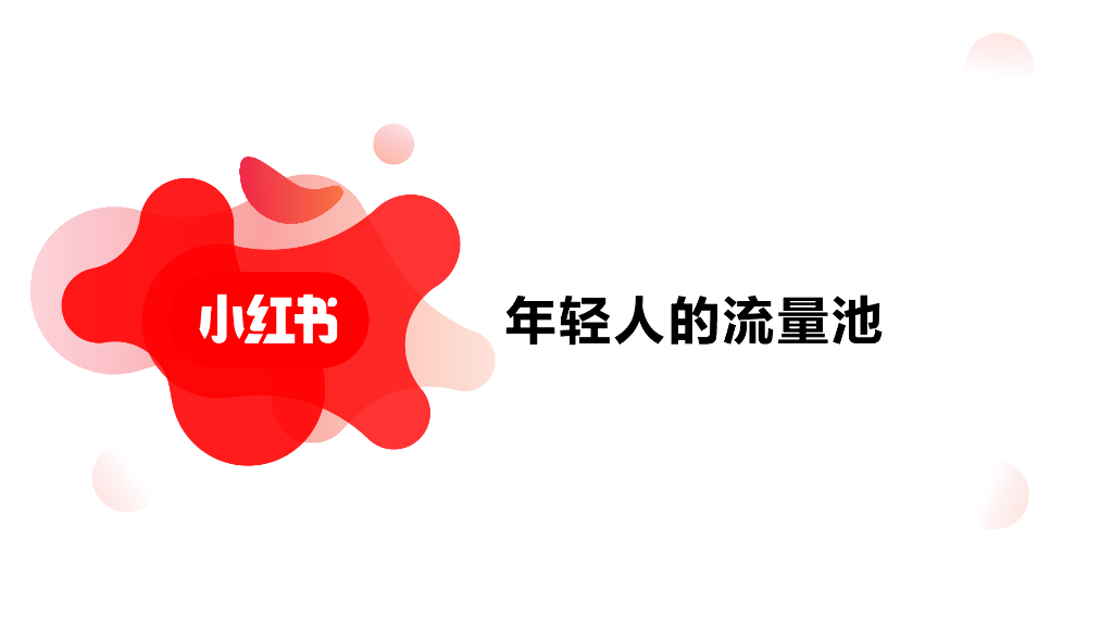 小红书：年轻人的流量池