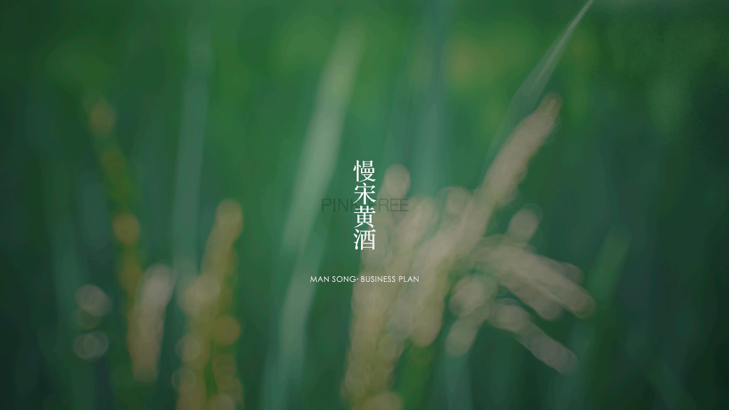 慢宋黄酒全案框架