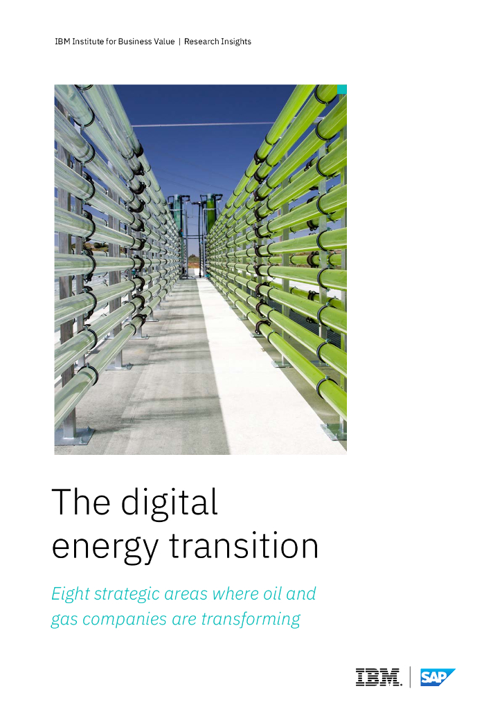 IBM商业价值研究院：2024年<em>数字化</em>能源<em>转型</em>分析报告：石油和天然气公司八大战略<em>转型</em>领域（英文版） 海报