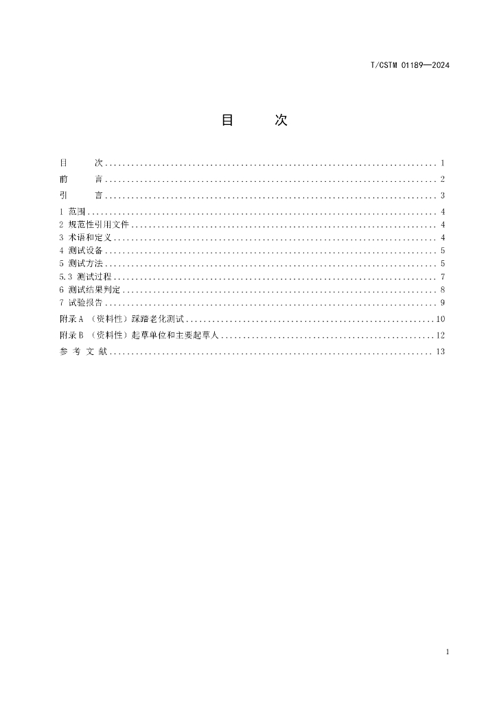 T/CSTM 01189-2024 标准预览