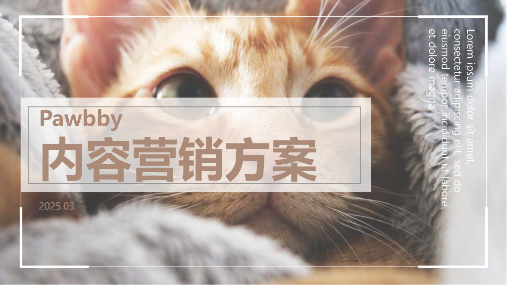 Pawbby内容营销全案方案