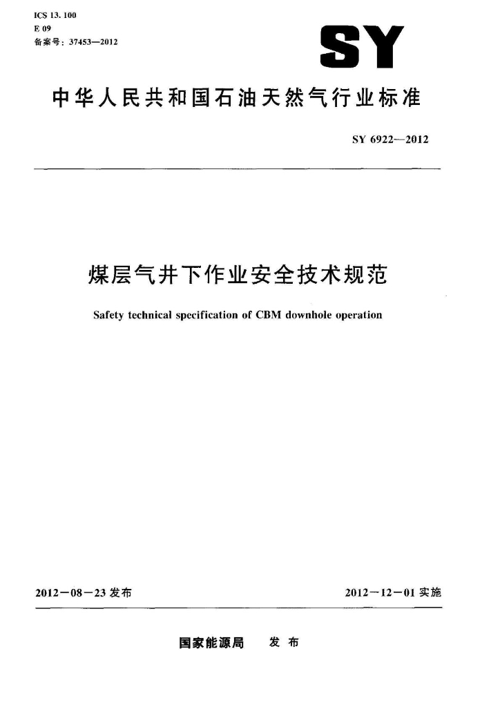 SY/T 6922-2012 标准预览