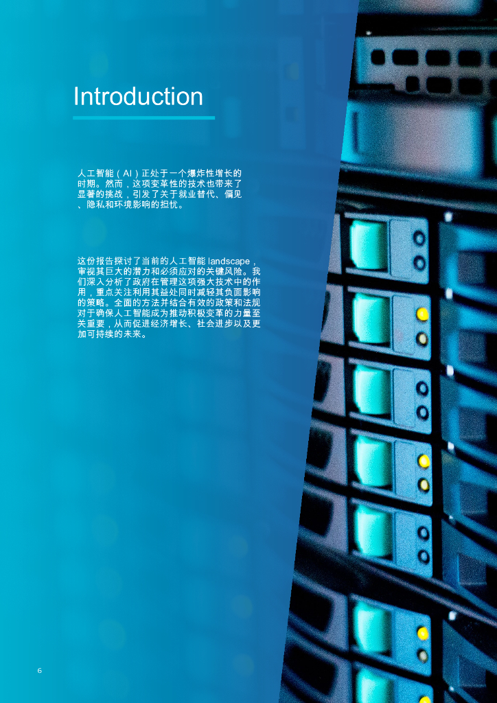 奥纬咨询：2025年人工智能行业报告：政府行动路线图AI_第6页
