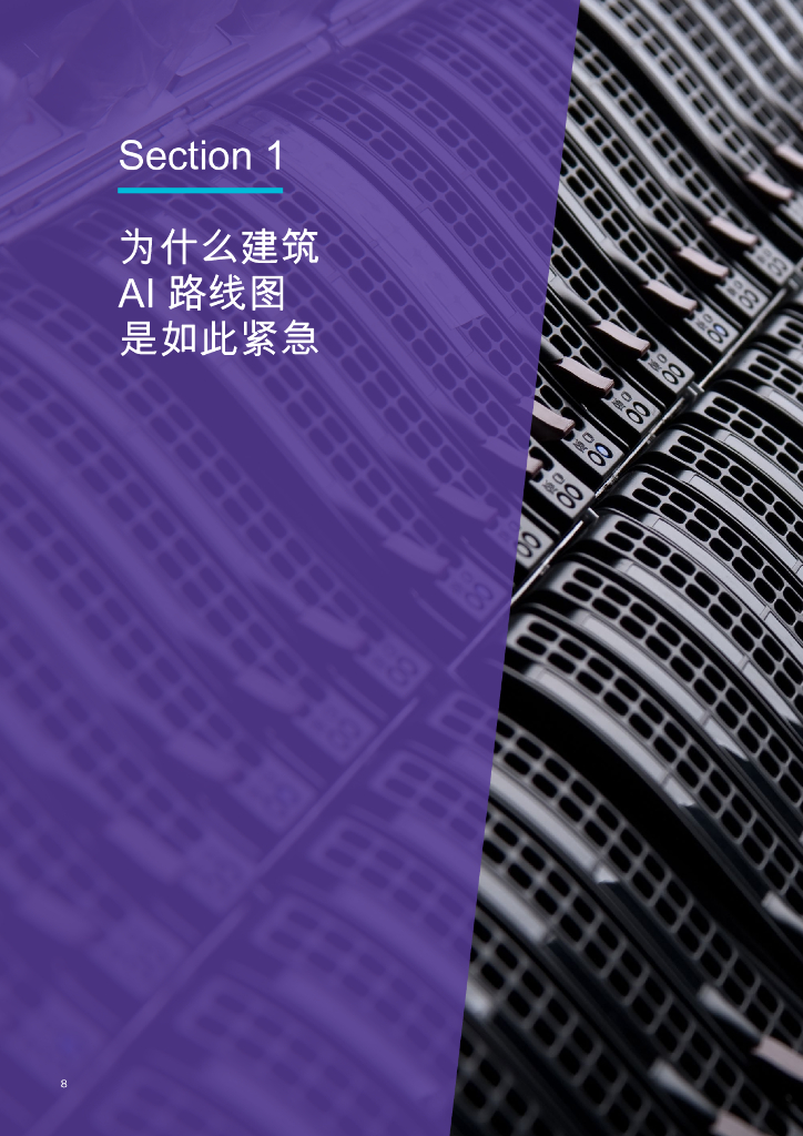 奥纬咨询：2025年人工智能行业报告：政府行动路线图AI_第8页