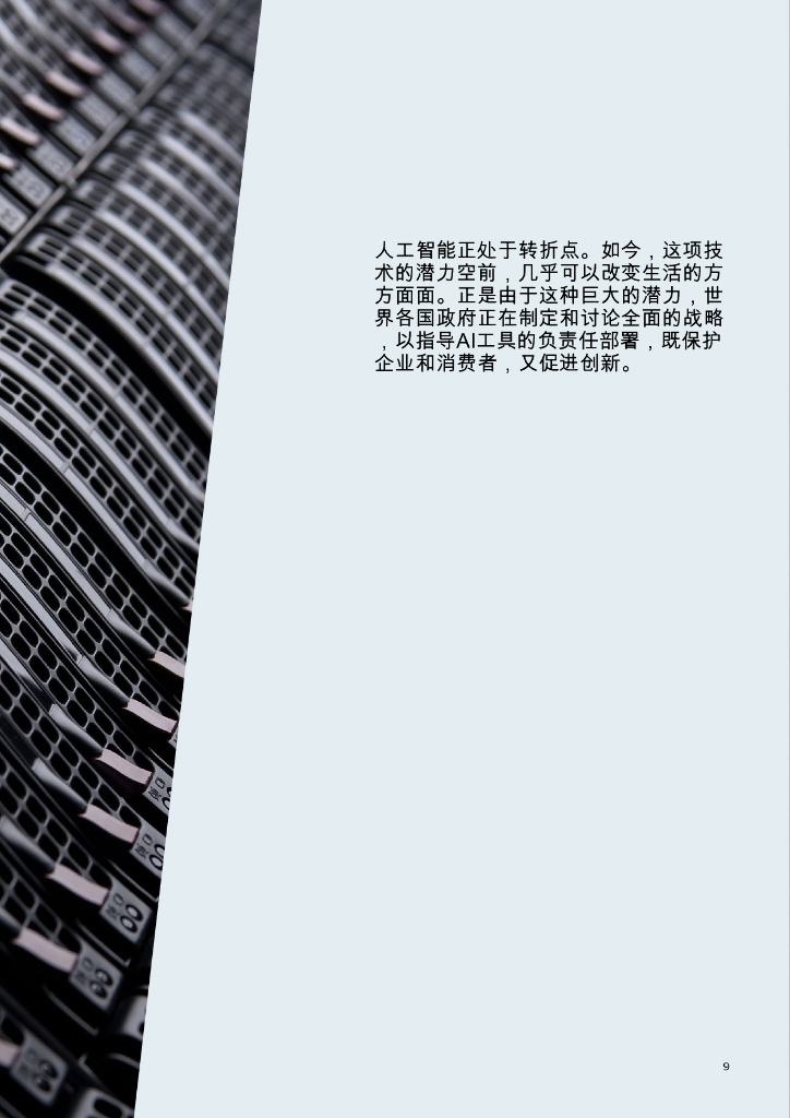 奥纬咨询：2025年人工智能行业报告：政府行动路线图AI_第9页