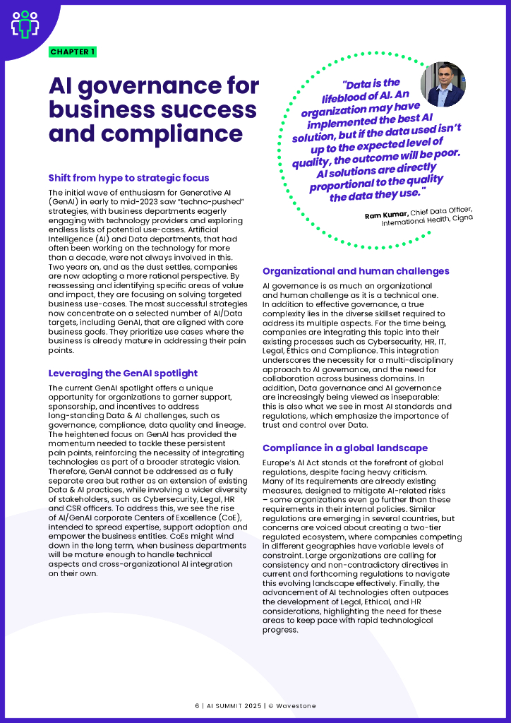 Wavestone ：2025年人工智能：大型企业的当前举措与未来挑战研究报告（英文版）_第6页