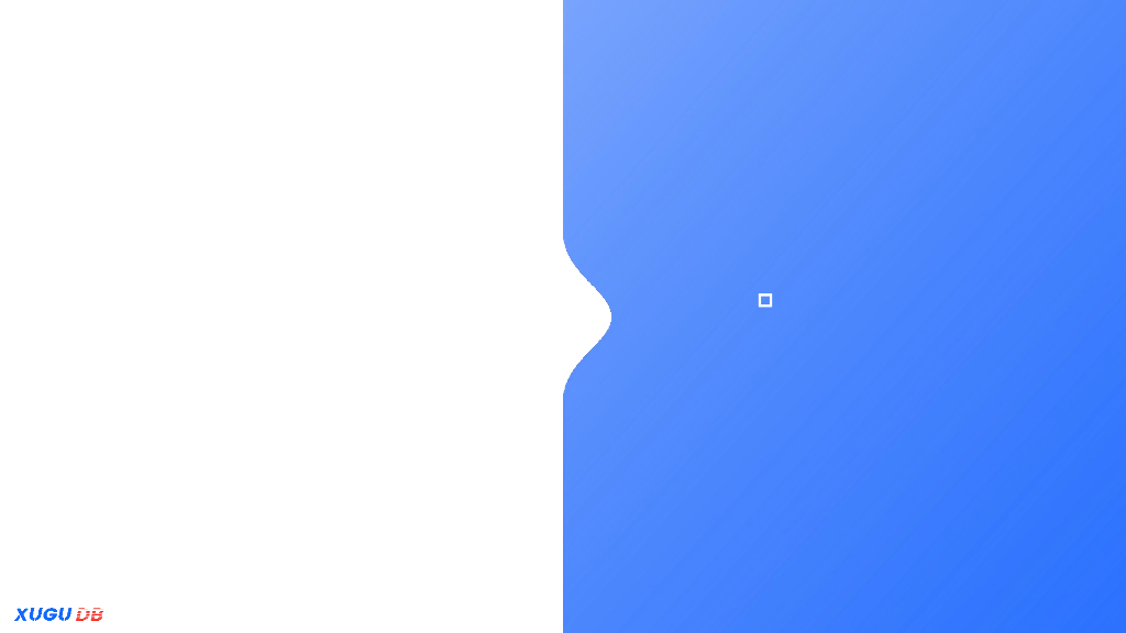 明玉琢：双轮驱动市场背景下虚谷数据库一体化实践_第9页