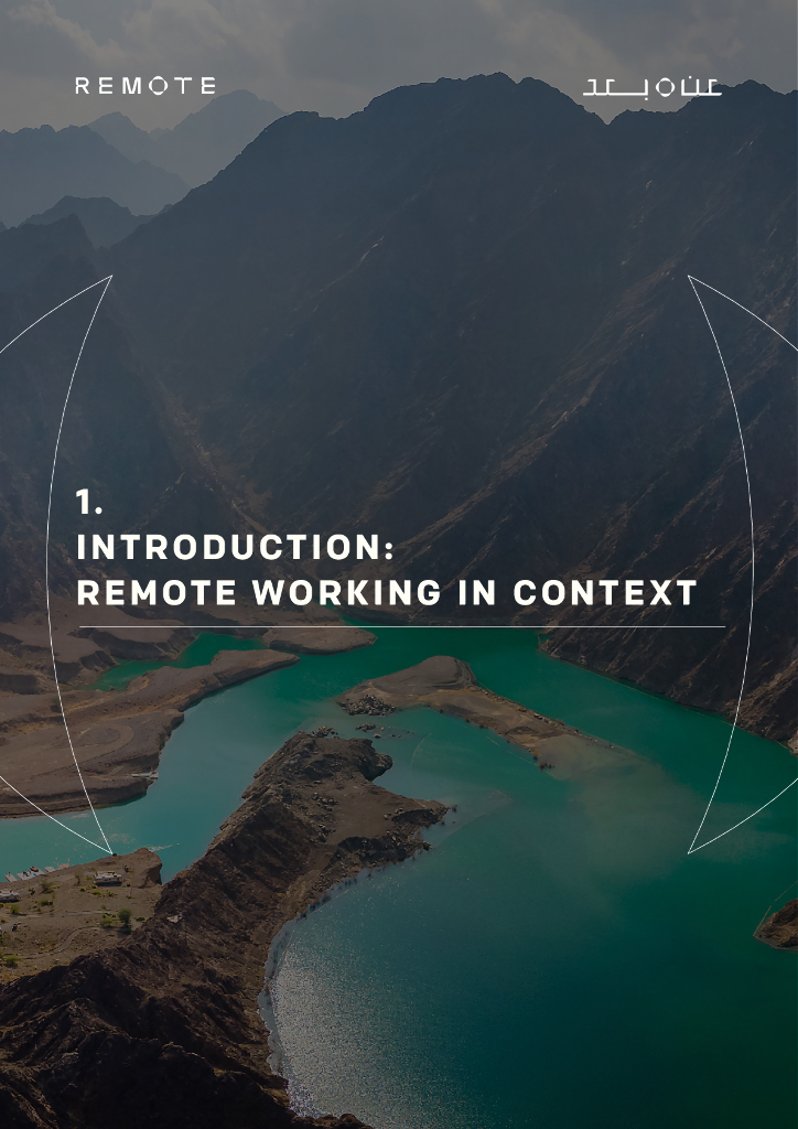 阿联酋人工智能办公室&普华永道：2024年阿联酋远程工作：最佳实践与未来政策白皮书（英文版）_第6页