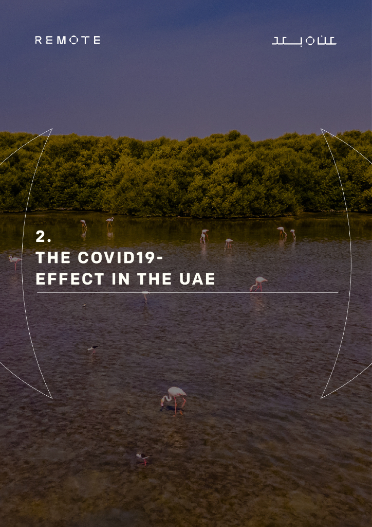 阿联酋人工智能办公室&普华永道：2024年阿联酋远程工作：最佳实践与未来政策白皮书（英文版）_第10页