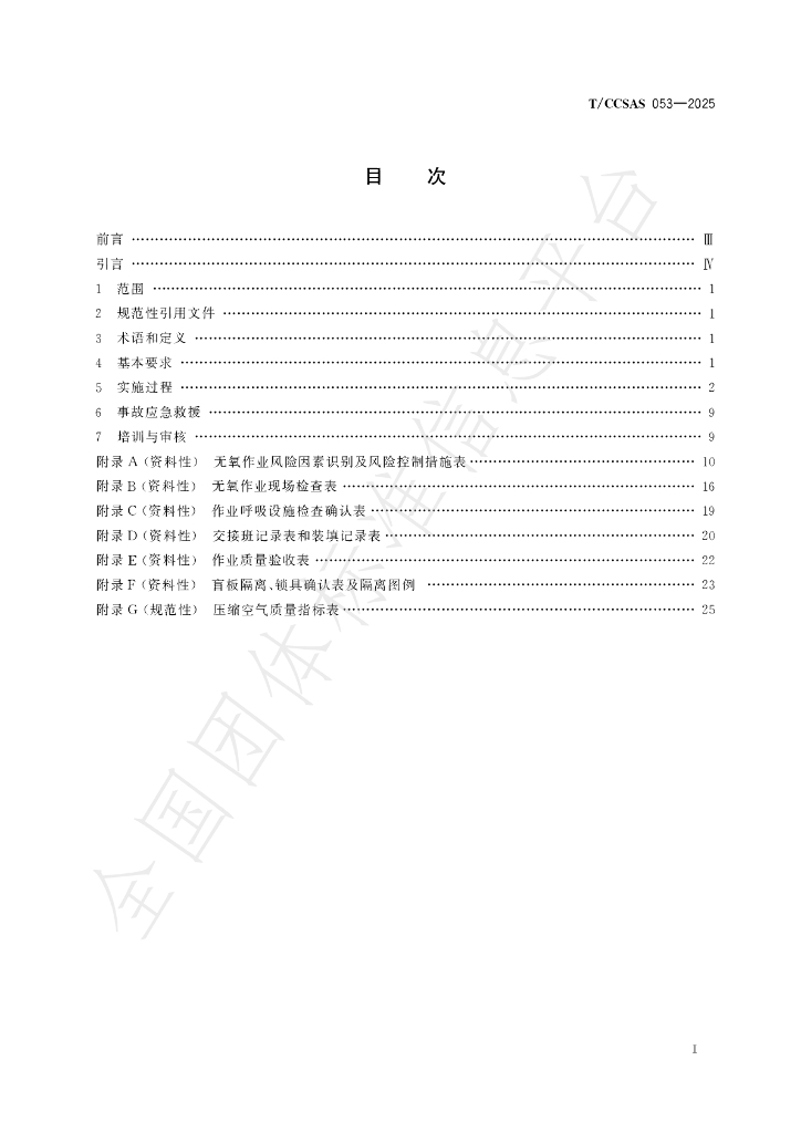 T/CCSAS 053-2025 标准预览