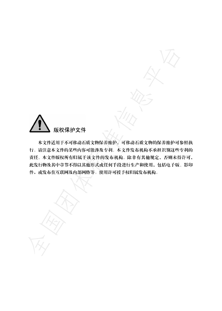 T/CSBZ 013-2025 标准预览