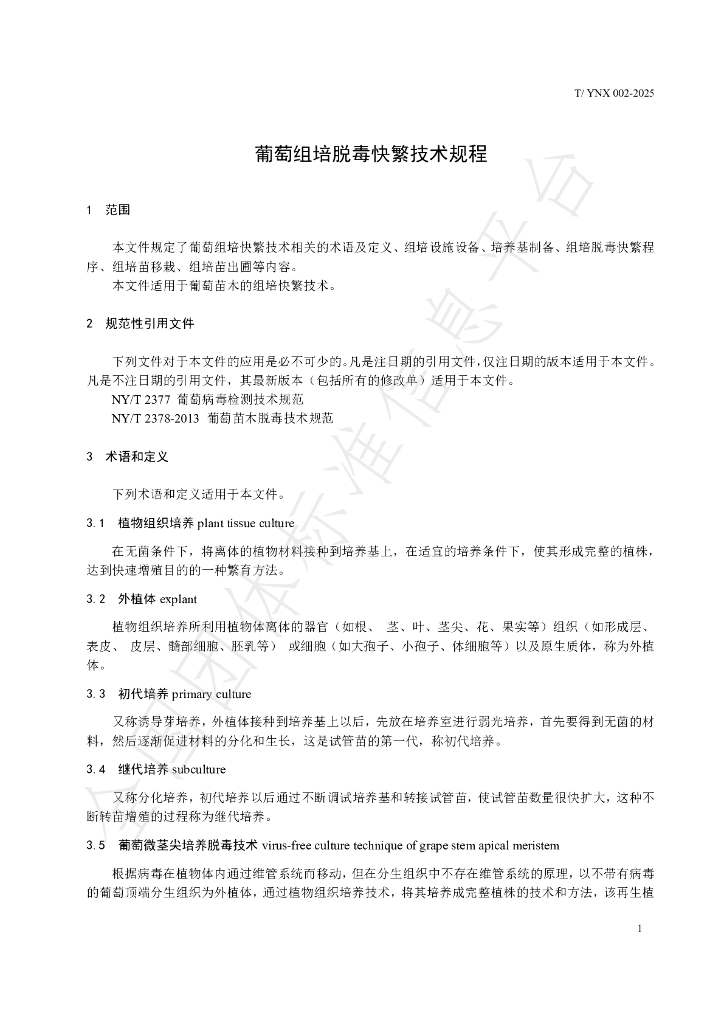 T/YNX 002-2025 标准预览