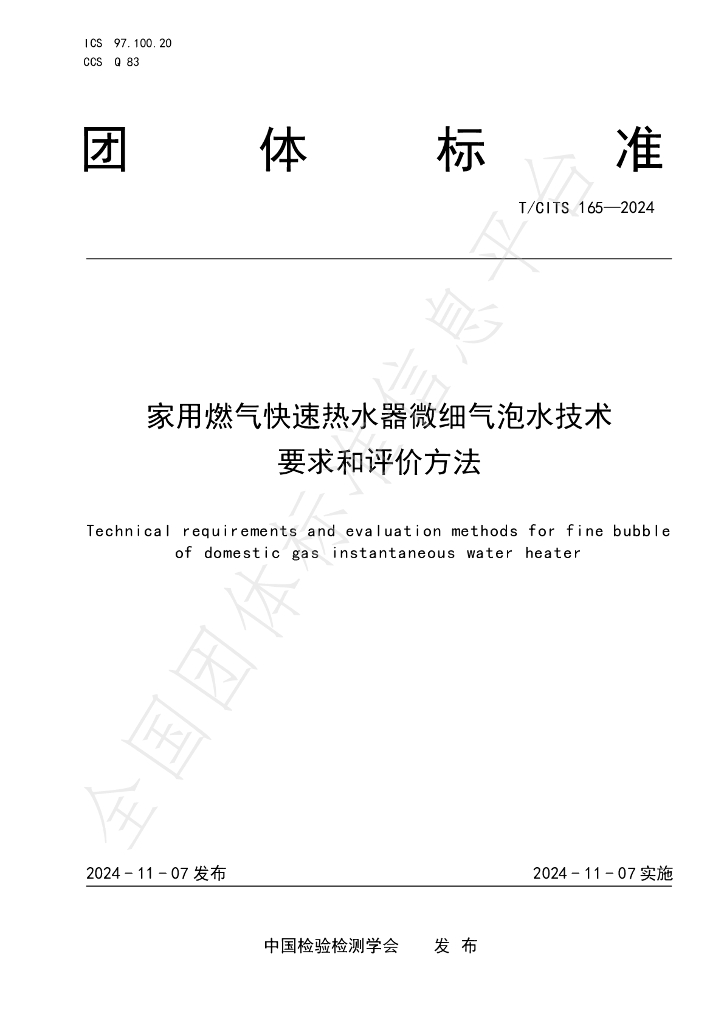 T/CITS 165-2024 标准预览