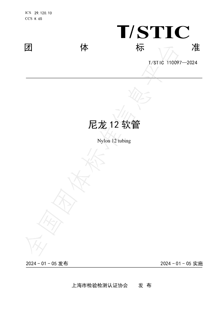 T/STIC 110097-2024 标准预览