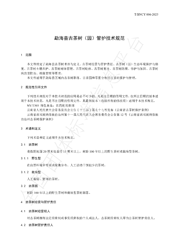 T/BNCY 006-2025 标准预览