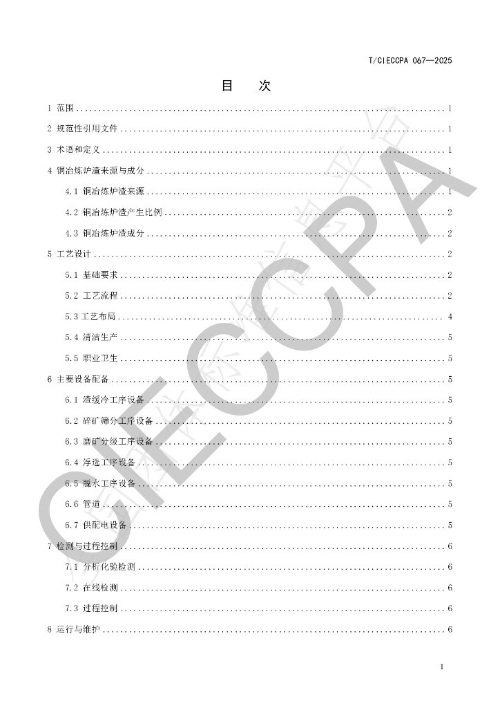 T/CIECCPA 067-2025 标准预览