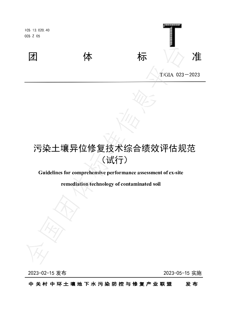 T/GIA 023-2023 标准预览