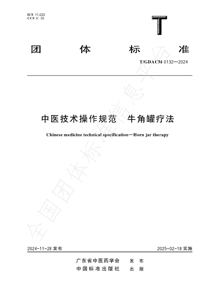 T/GDACM 0132-2024 标准预览