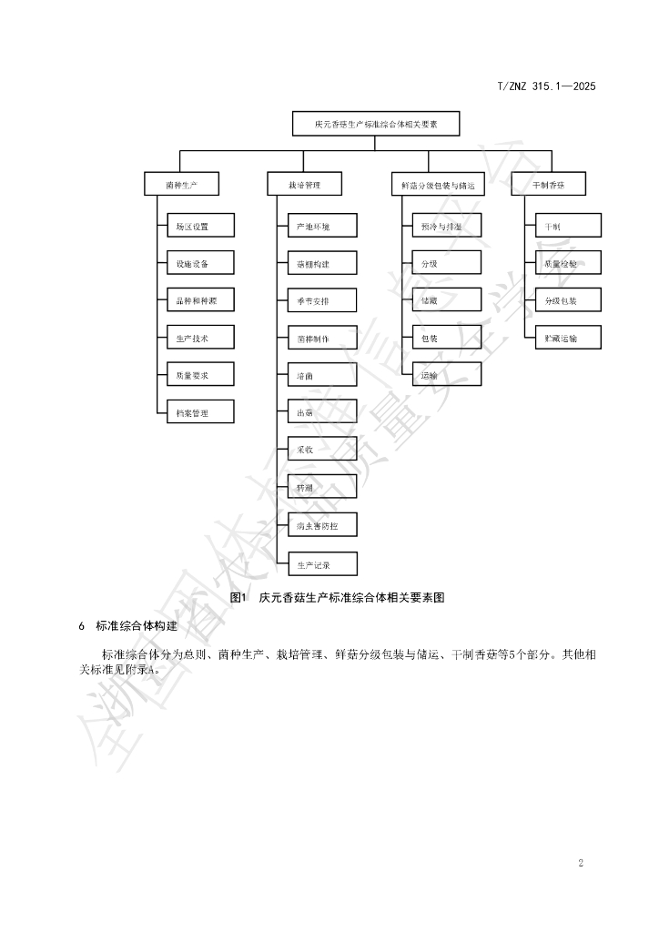 T/ZNZ 315.1-2025 标准预览