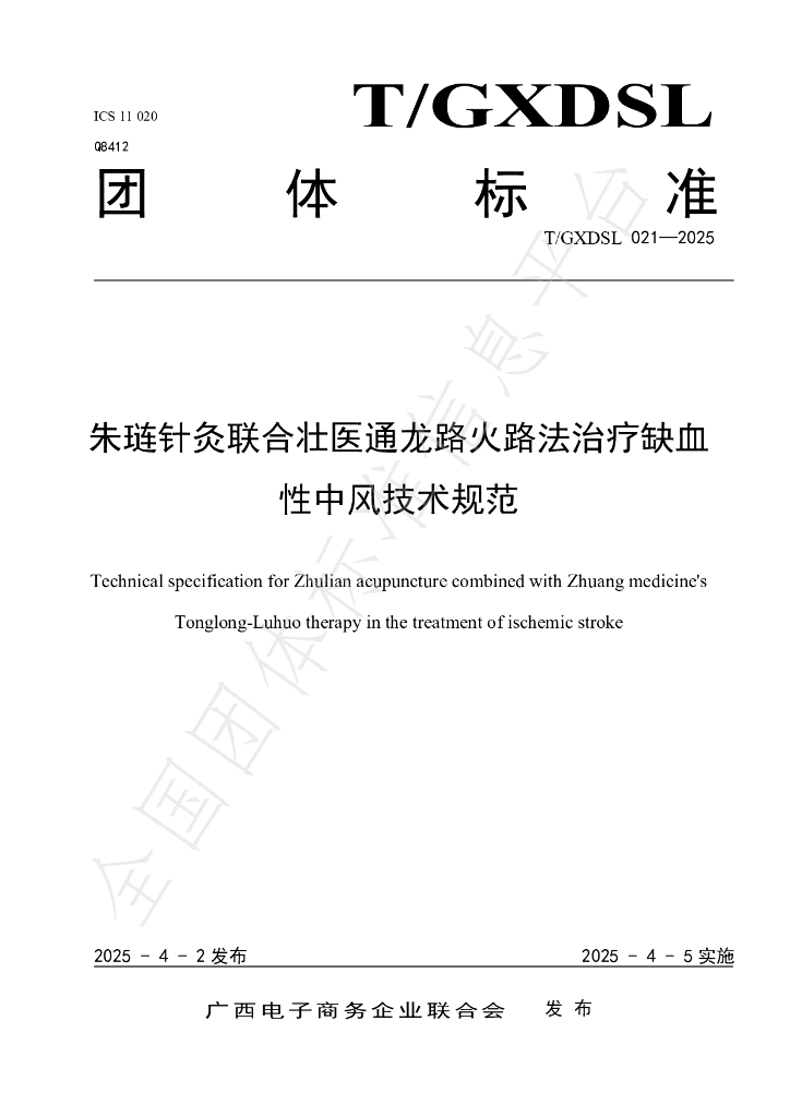 T/GXDSL 021-2025 标准预览