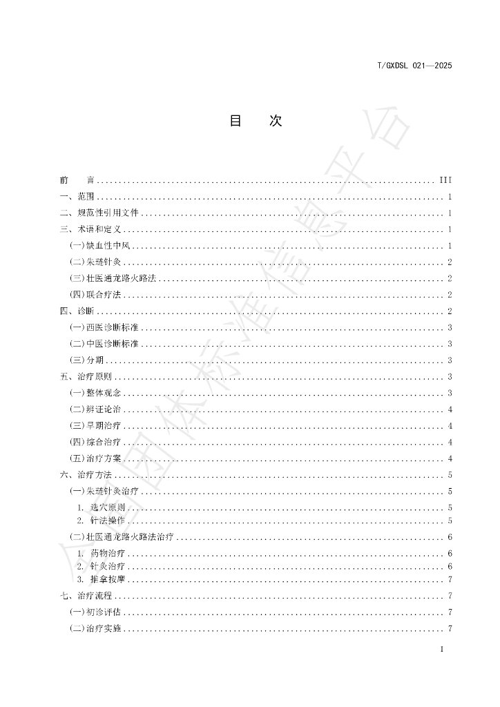 T/GXDSL 021-2025 标准预览