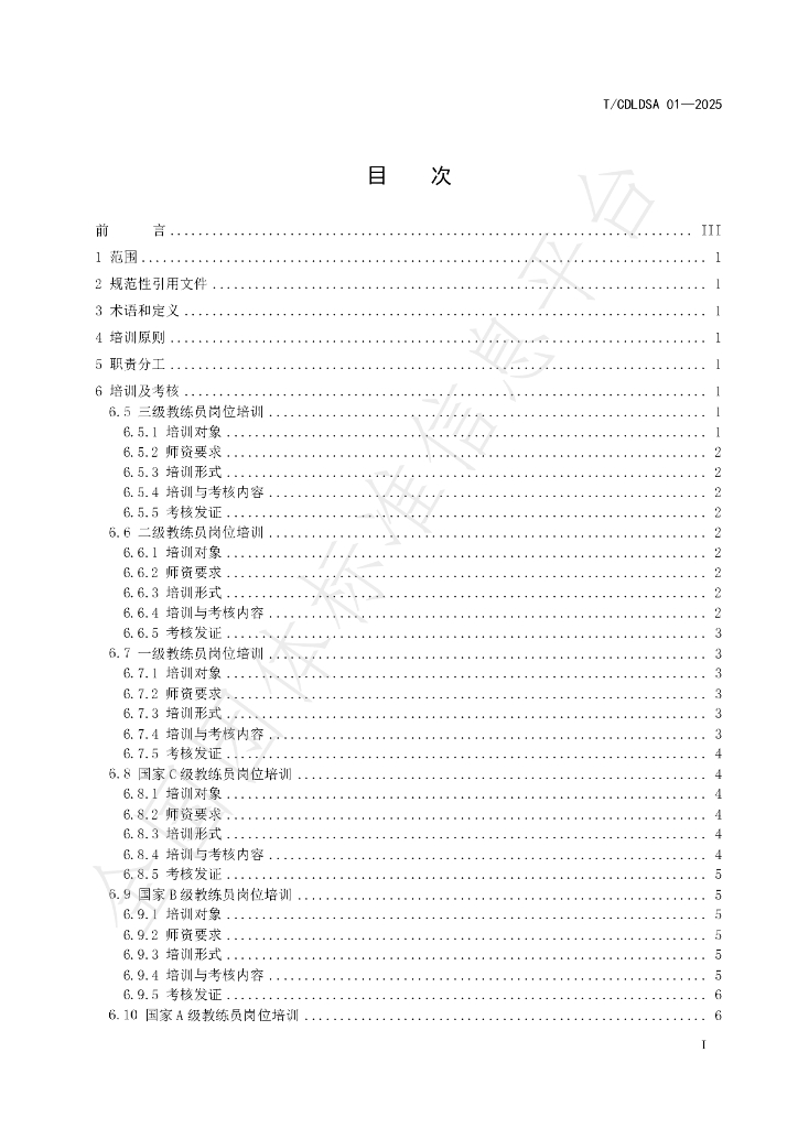 T/CDLDSA 01-2025 标准预览