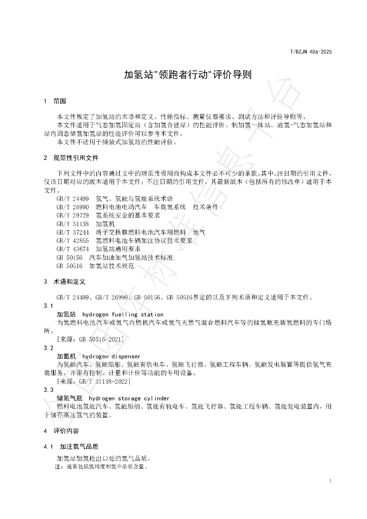 T/DZJN 406-2025 标准预览