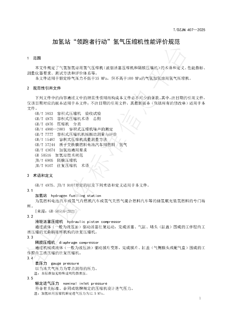 T/DZJN 407-2025 标准预览