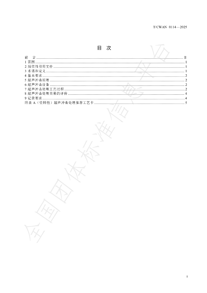 T/CWAN 0114-2025 标准预览