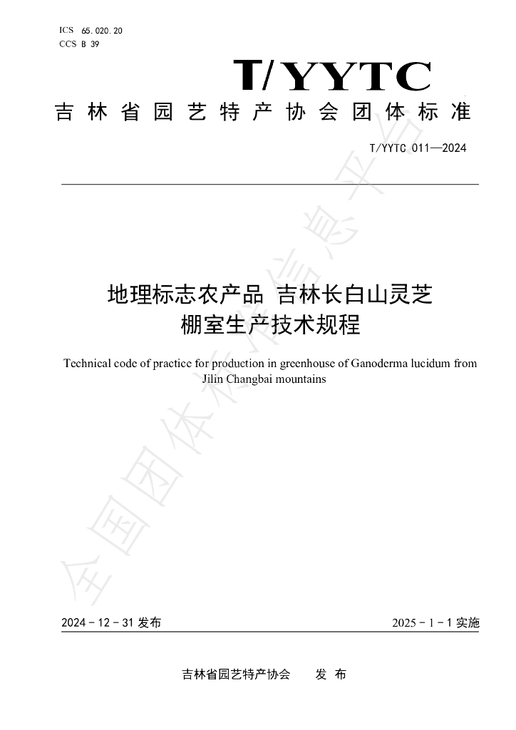 T/YYTC 011-2024 标准预览