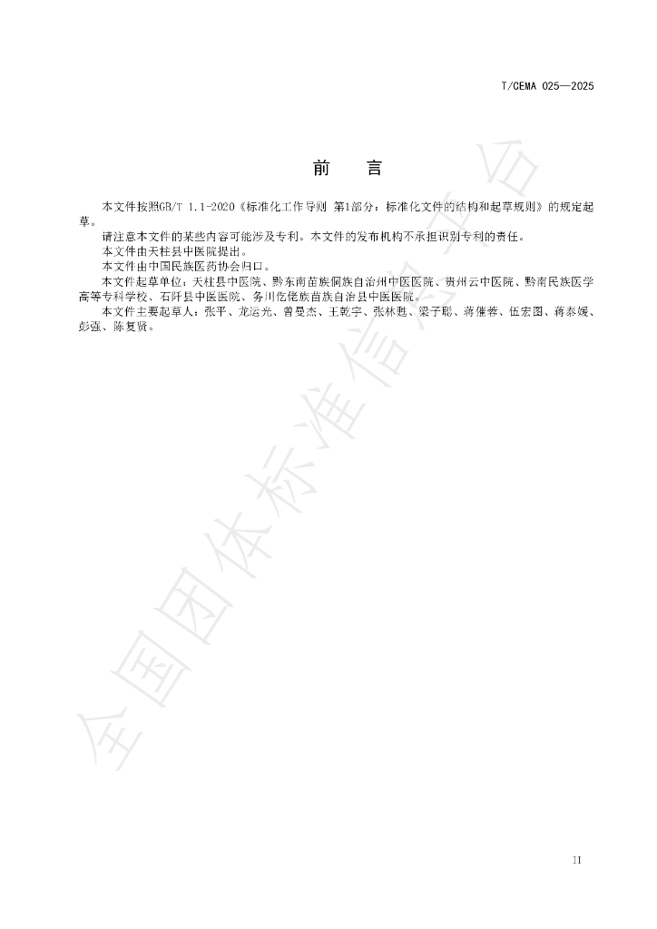 T/CEMA 025-2025 标准预览