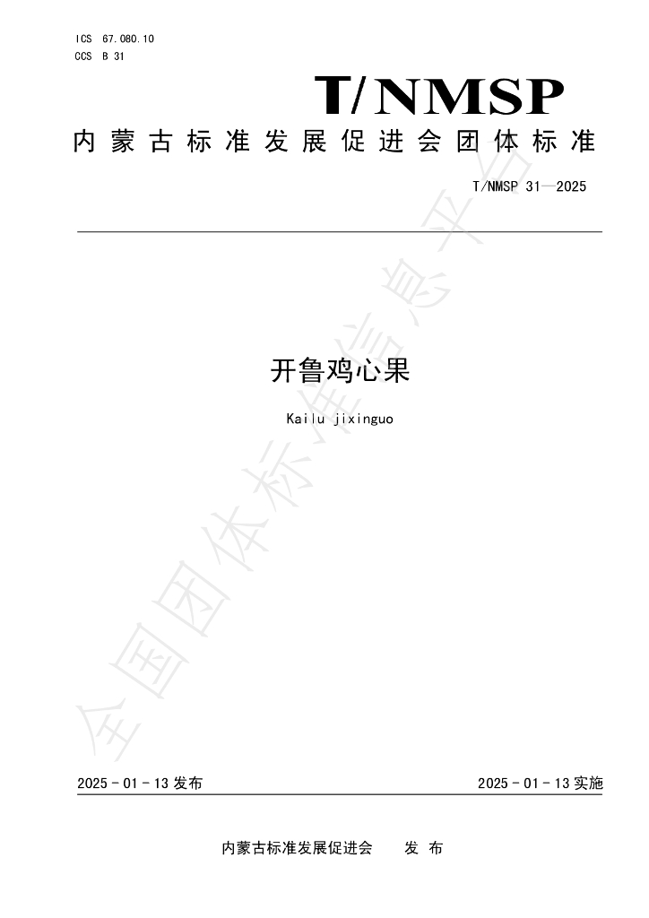 T/NMSP 31-2025 标准预览