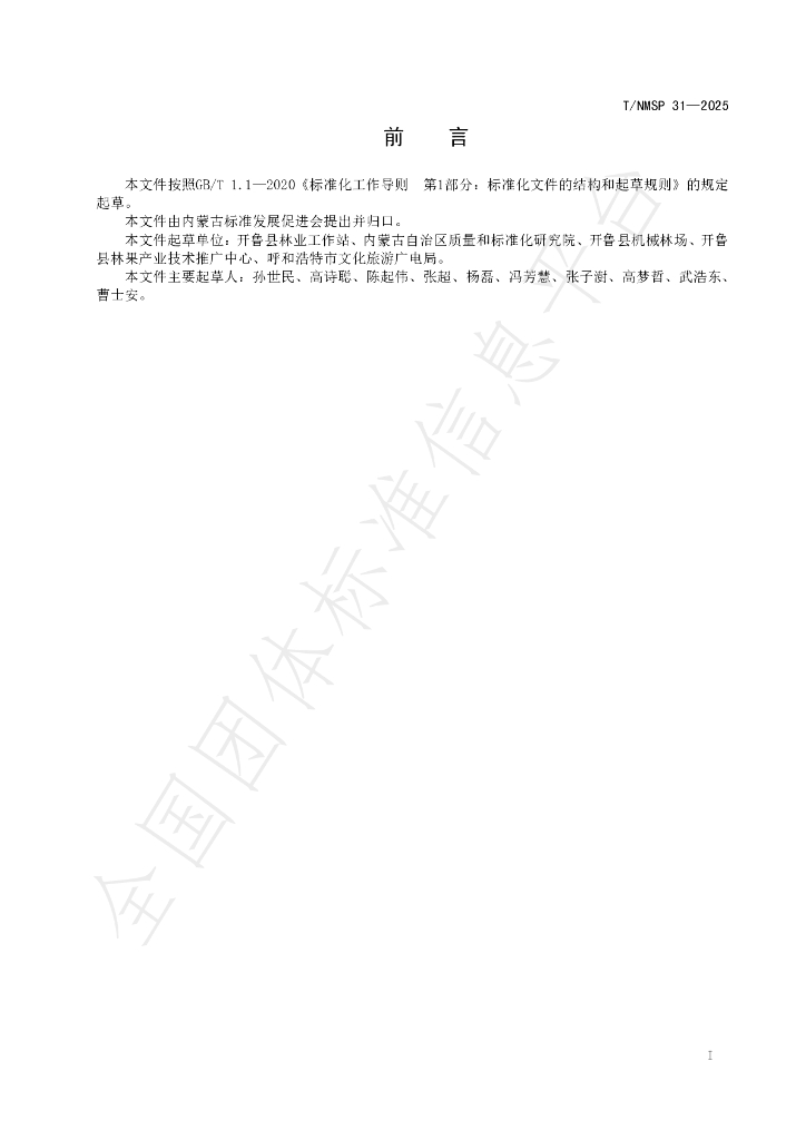 T/NMSP 31-2025 标准预览
